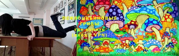 бошки Алзамай