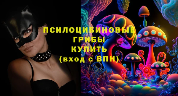бошки Алзамай