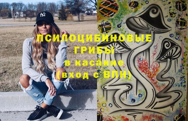 бошки Алзамай